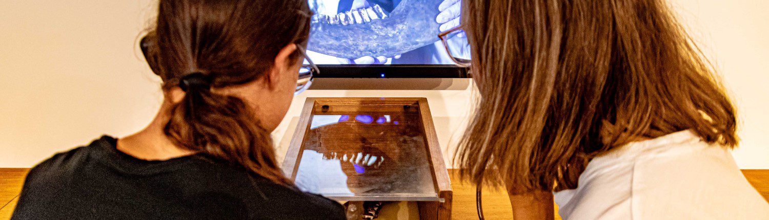 Voorjaarsvakantie | ArcheoLab-belevenis