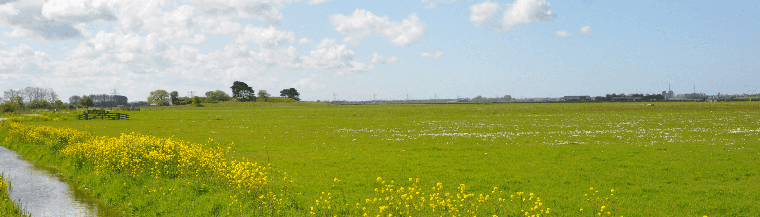 Oer-IJ-lezing 2023: Natuurwaarden (VOL)