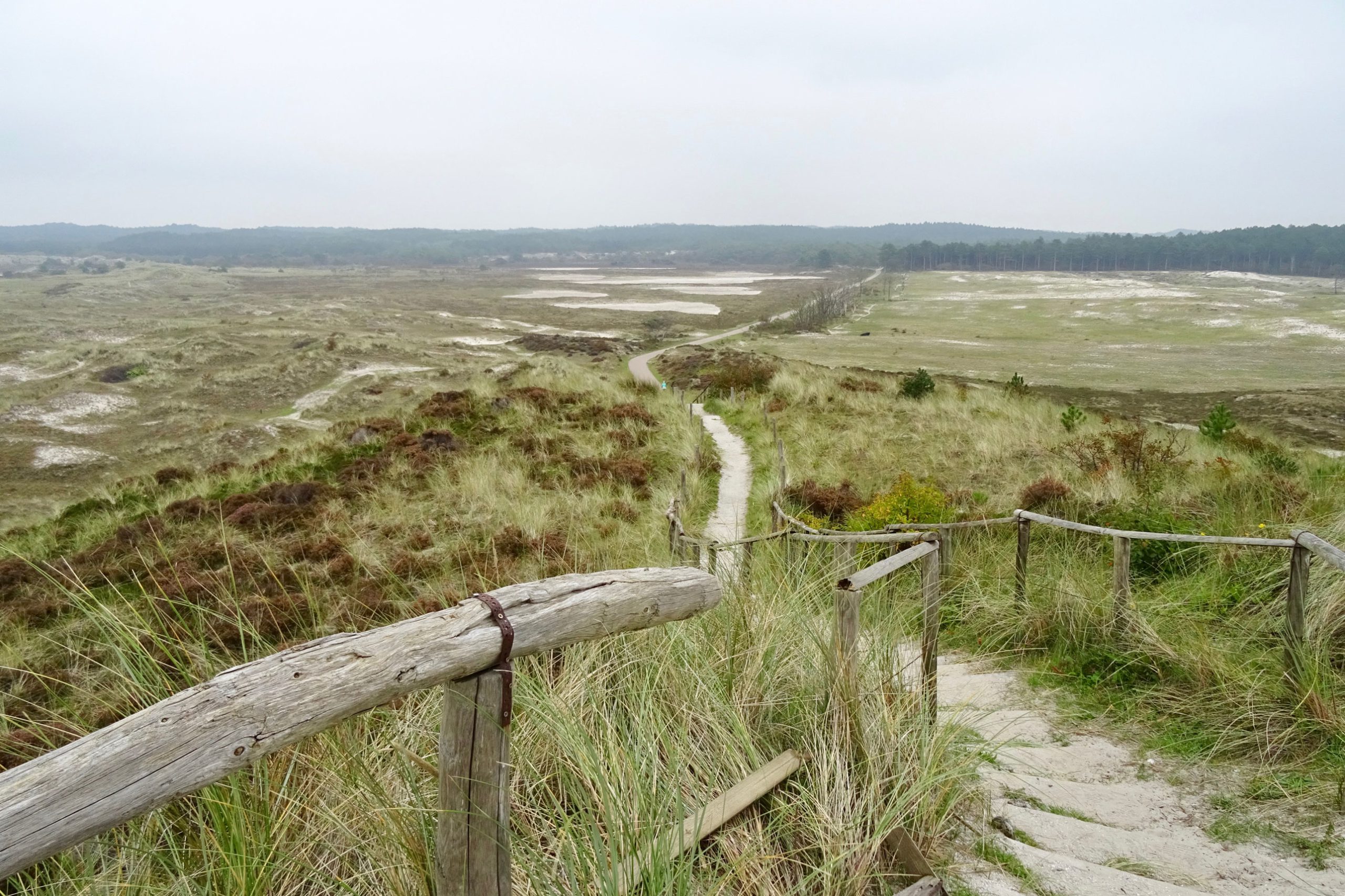 Oer-IJ-lezing: Duinen van Holland – een aparte geschiedenis