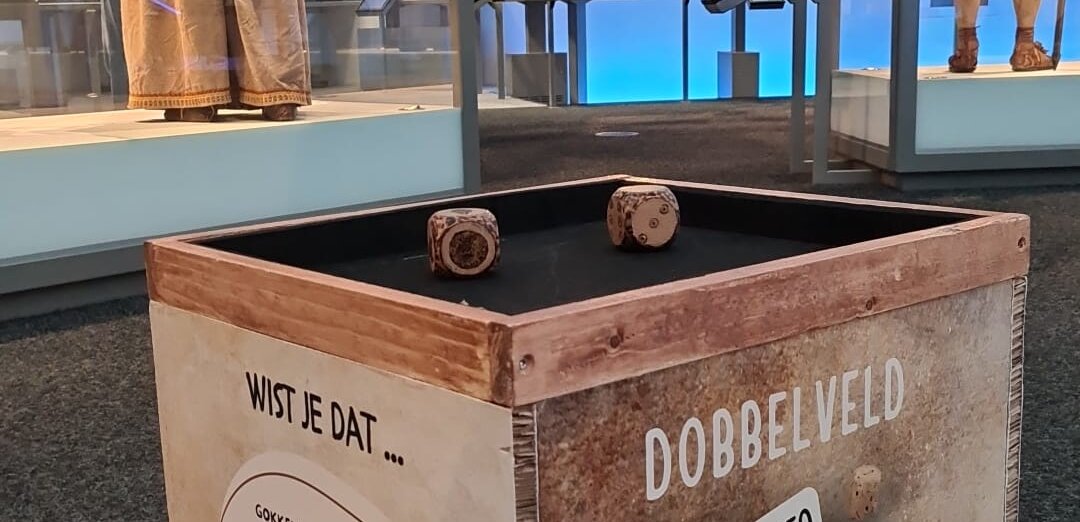 Voorjaarsvakantie | Speurtocht - Dobbelspel (van 6 - 8 jaar)